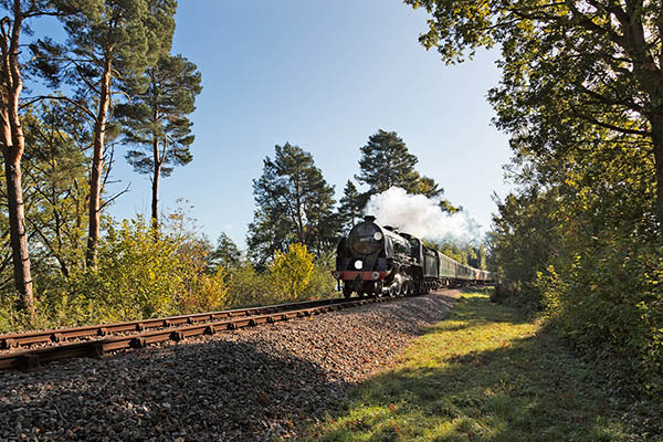 Festival of Steam trains on the Bluebell Railway.