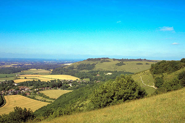 View over the Southdowns - fields and trees