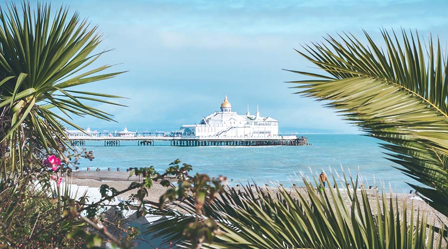 View of Eastbourne Pier through palm trees