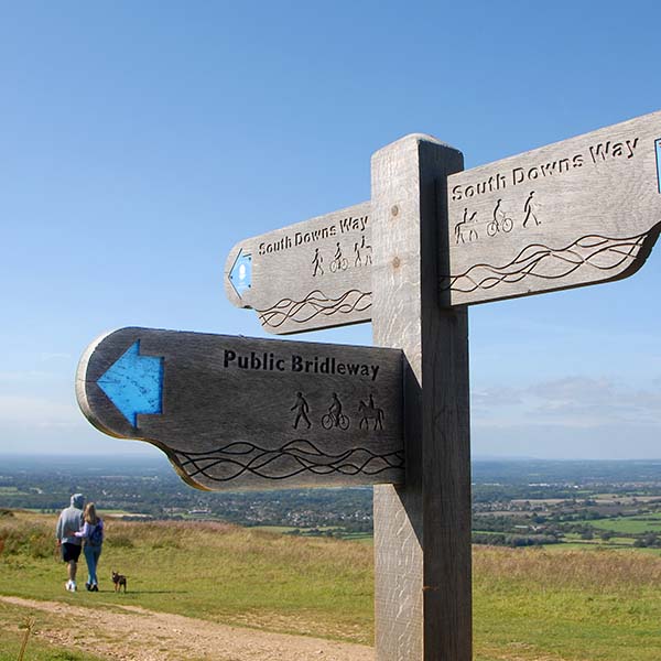 Couple Walking dog in South Downs National Park