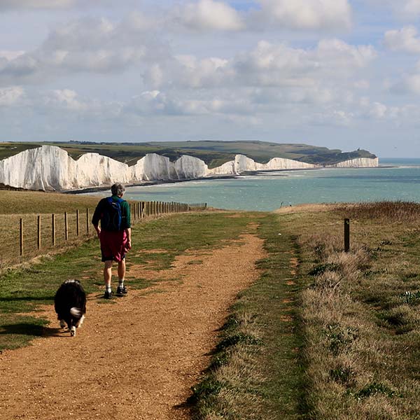 Man Walk dog South Downs National Park